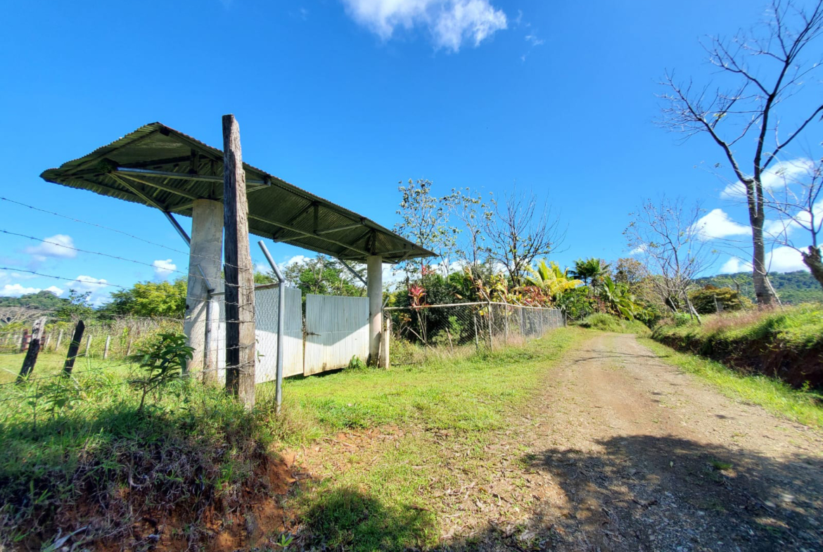 finca-caballo-blanco-pavones