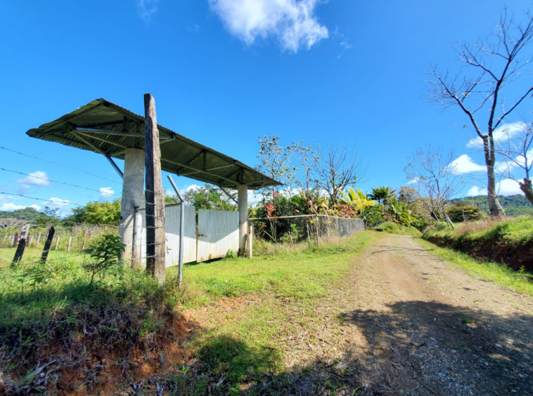 finca-caballo-blanco-pavones