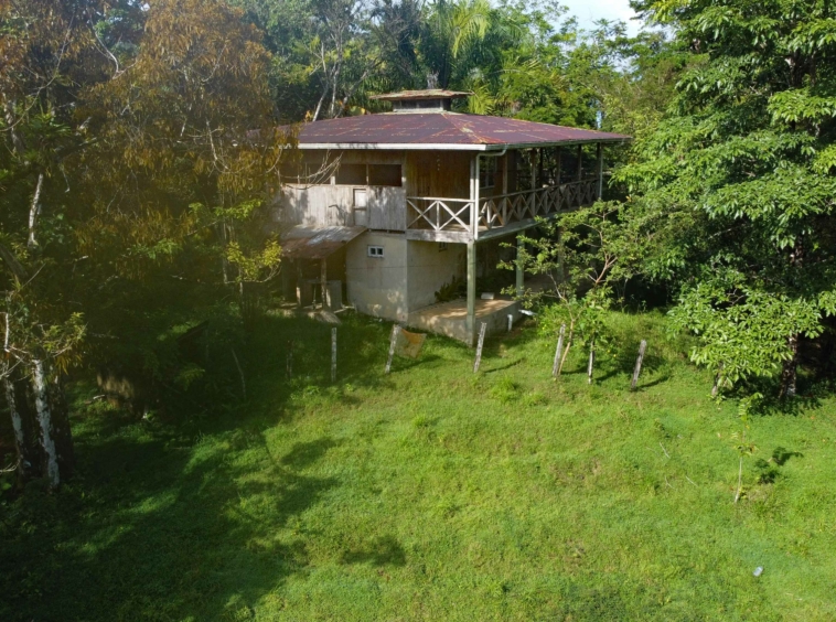 finca-caballo-blanco-pavones