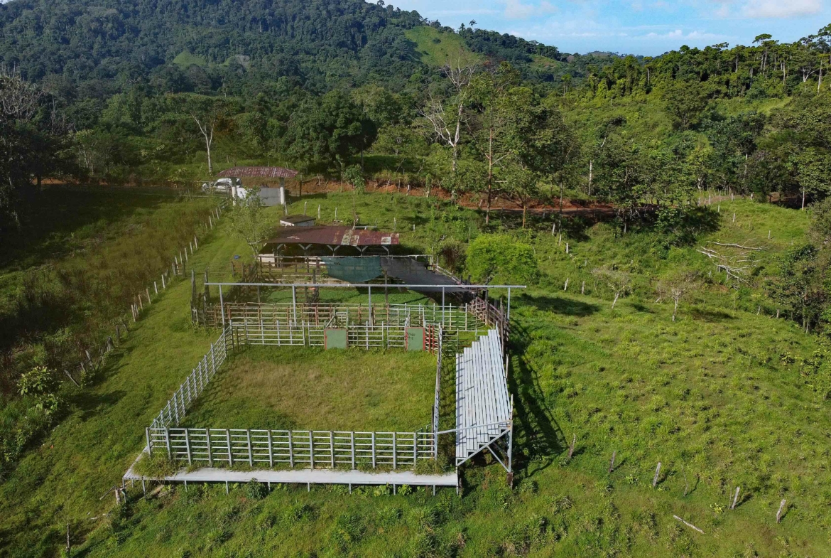 finca-caballo-blanco-pavones