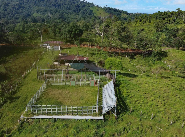 finca-caballo-blanco-pavones