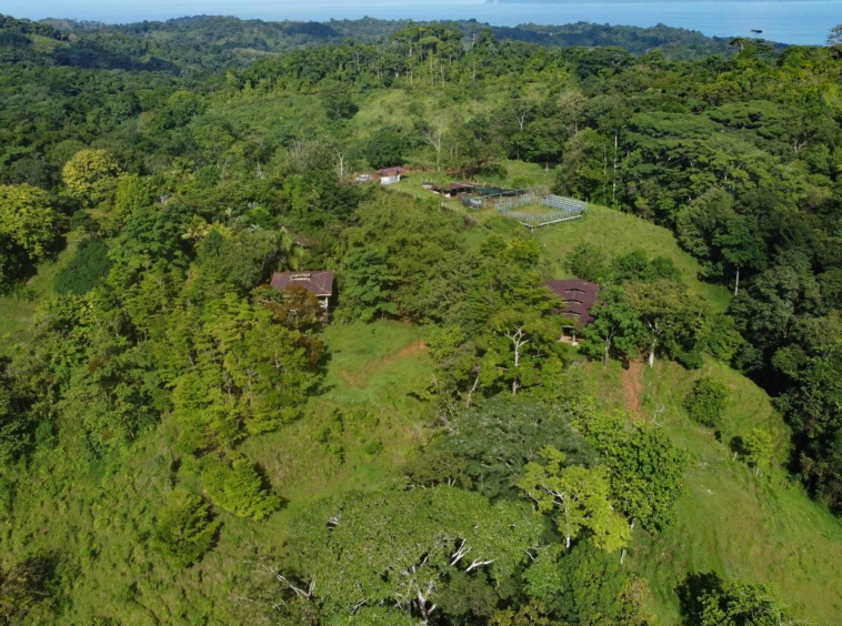 finca-caballo-blanco-pavones