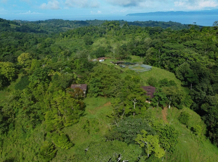 finca-caballo-blanco-pavones