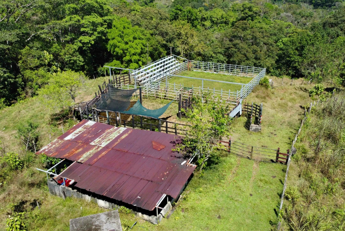 finca-caballo-blanco-pavones