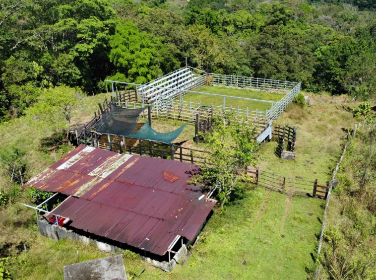 finca-caballo-blanco-pavones