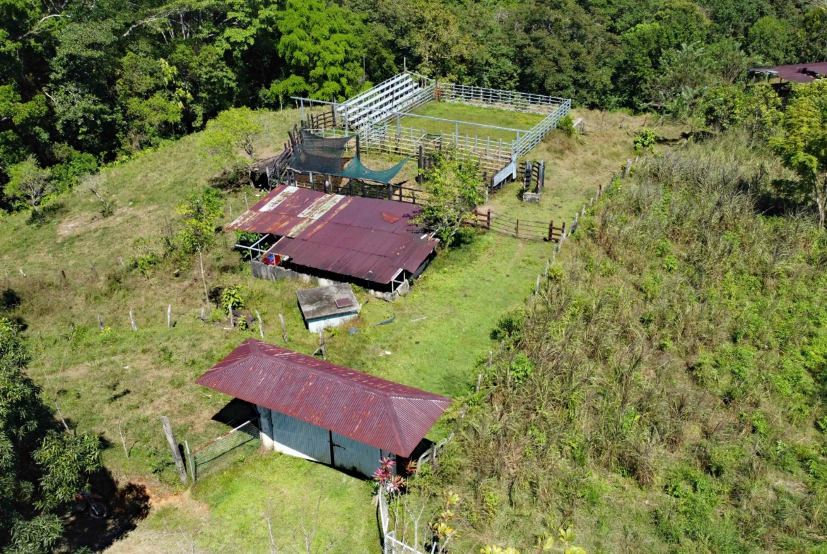 finca-caballo-blanco-pavones