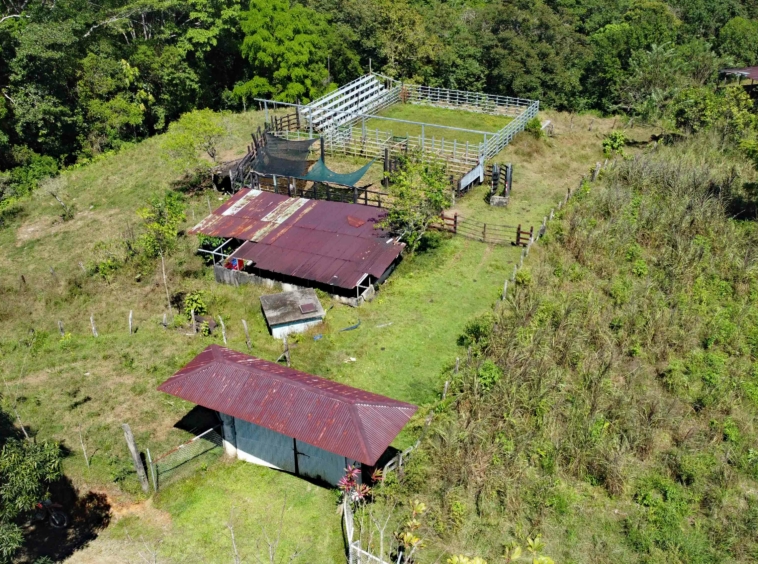 finca-caballo-blanco-pavones
