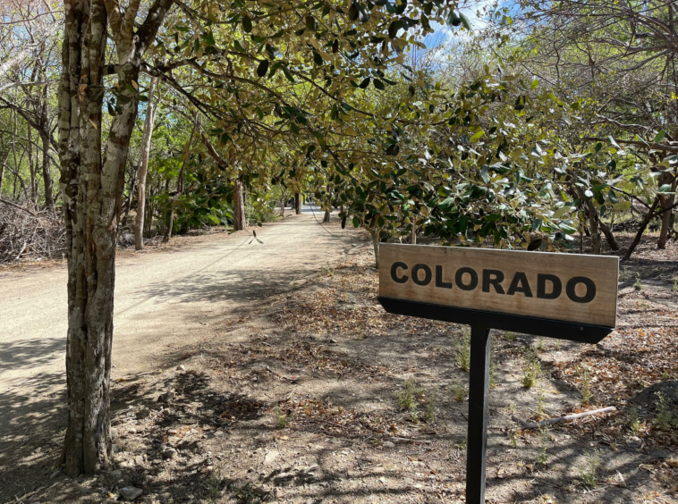 hacienda-iguana-colorados-beach-lot-for-sale