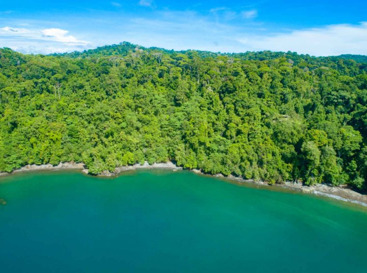 private-golfo-dulce-island-with-private-peninsula