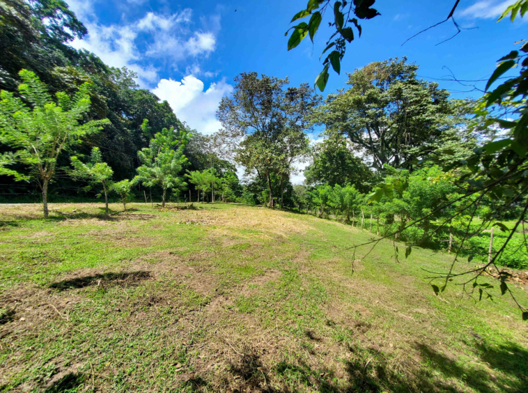 walk-to-world-class-left-point-lot-