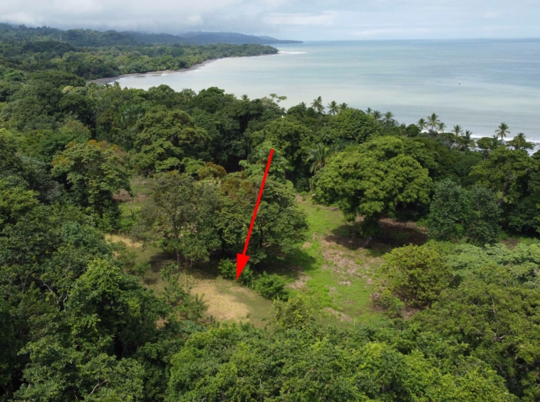 walk-to-world-class-left-point-lot-