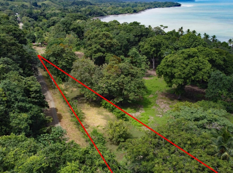 walk-to-world-class-left-point-lot-