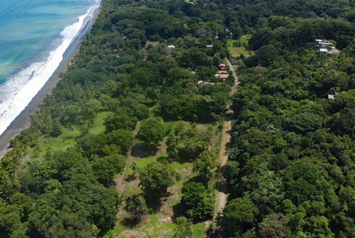 walk-to-world-class-left-point-lot-