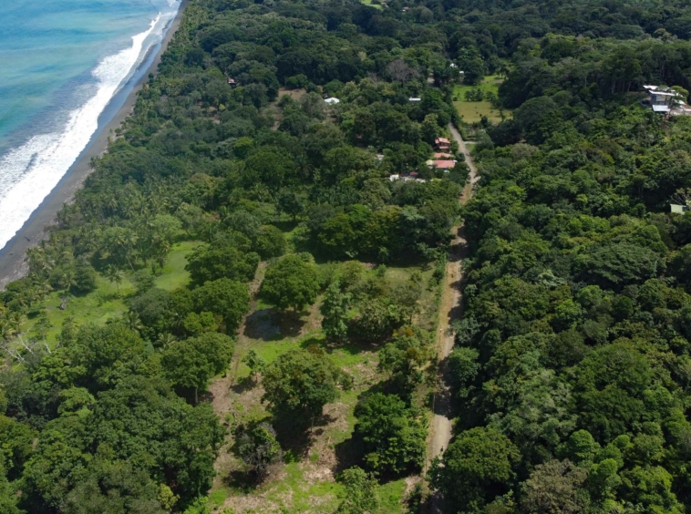 walk-to-world-class-left-point-lot-