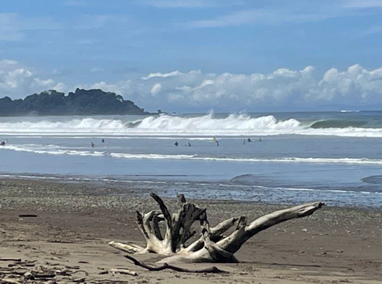 dominical-waves-surf-beach