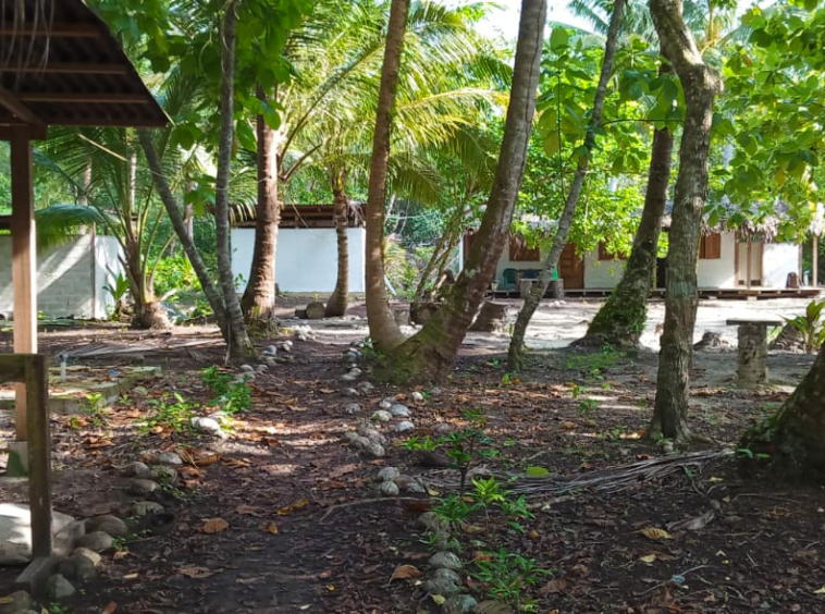 mentawai-private-surf-dream-for-sale
