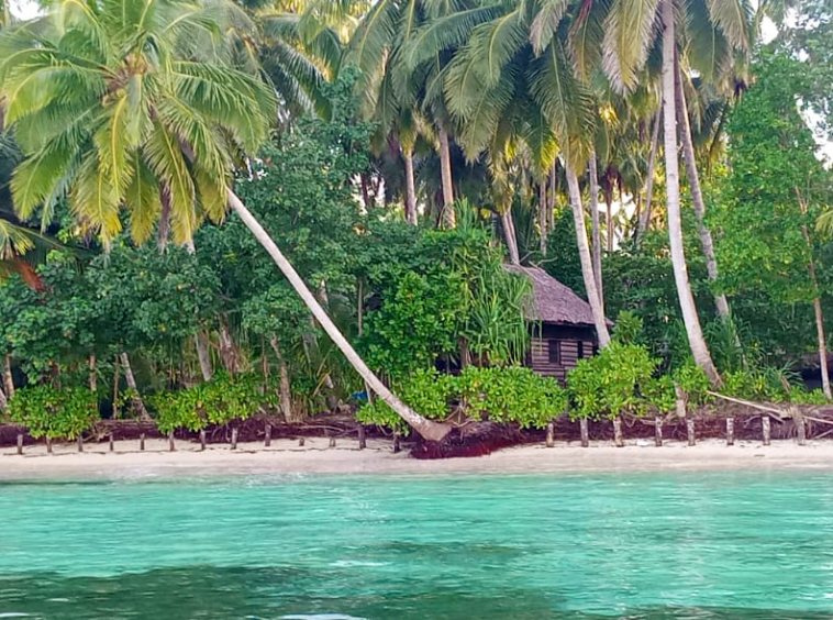 mentawai-private-surf-dream-for-sale