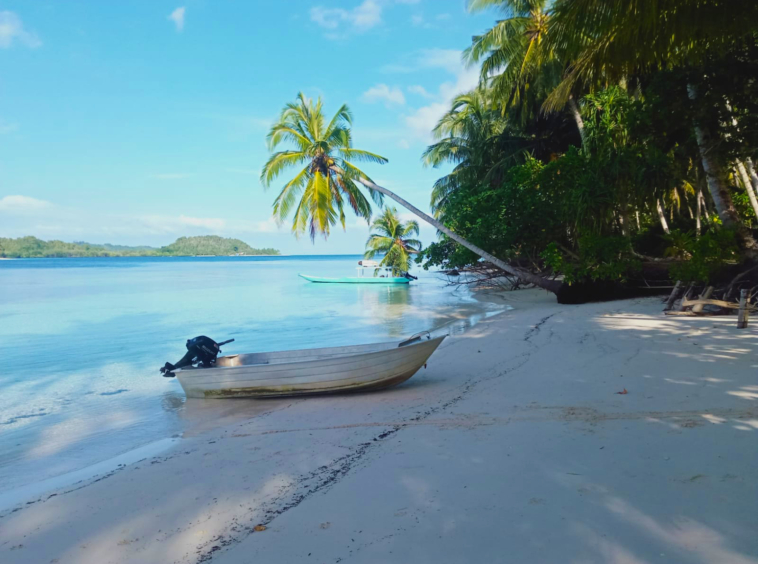 mentawai-private-surf-dream-for-sale
