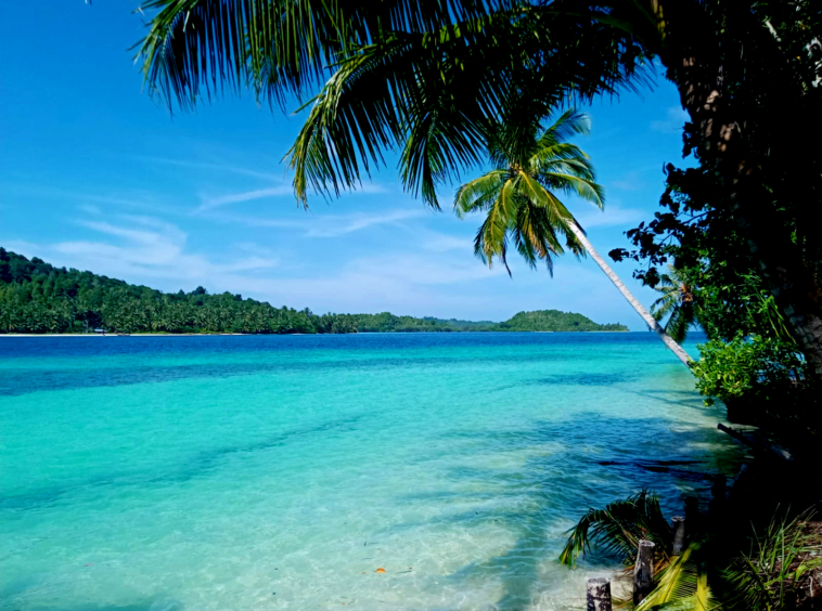 mentawai-private-surf-dream-for-sale