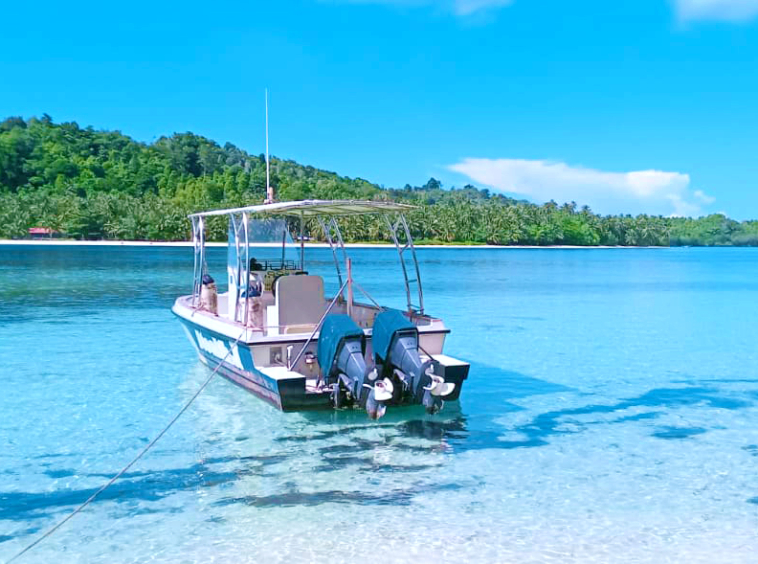 mentawai-private-surf-dream-for-sale