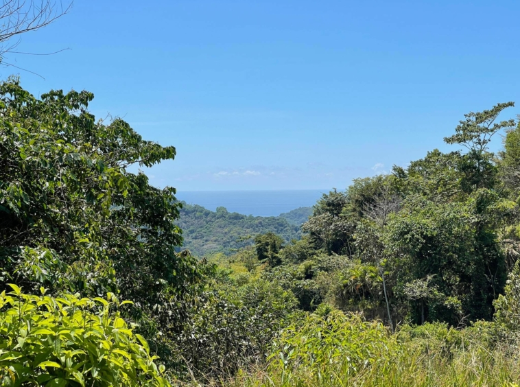 Ocean View Property with Creek and Building Sites