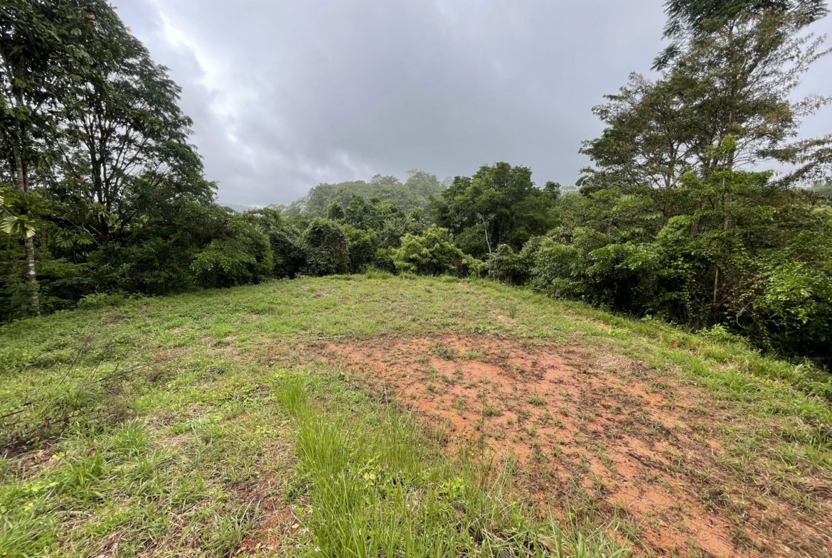 oceanview-lot-near-surf