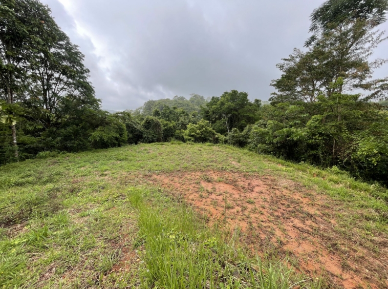 oceanview-lot-near-surf