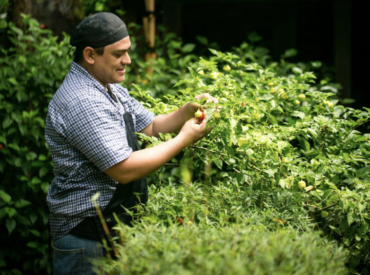 self-sustaining-eco-lodge-matapalo