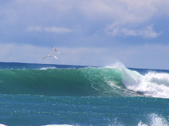 self-sustaining-eco-lodge-matapalo