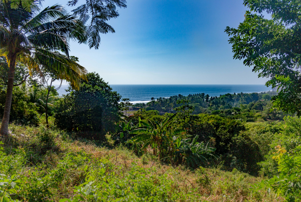 mizata-big-ocean-view-land-for-sale