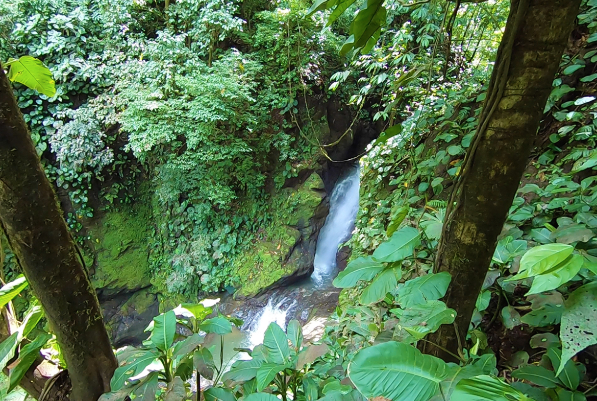 pavones-river-waterfall-hike