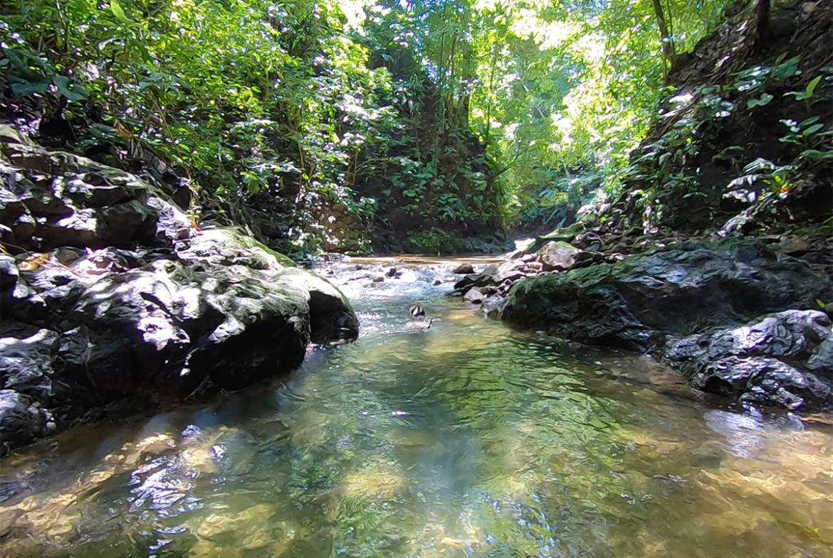 pavones-river-waterfall-hike