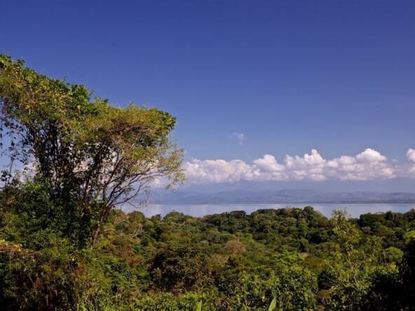 7-jungle-acres-with-ocean-view-pavones