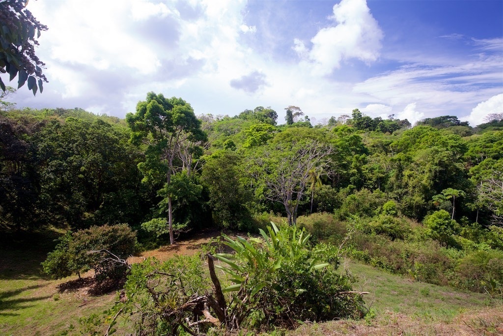 7-jungle-acres-with-ocean-view-pavones