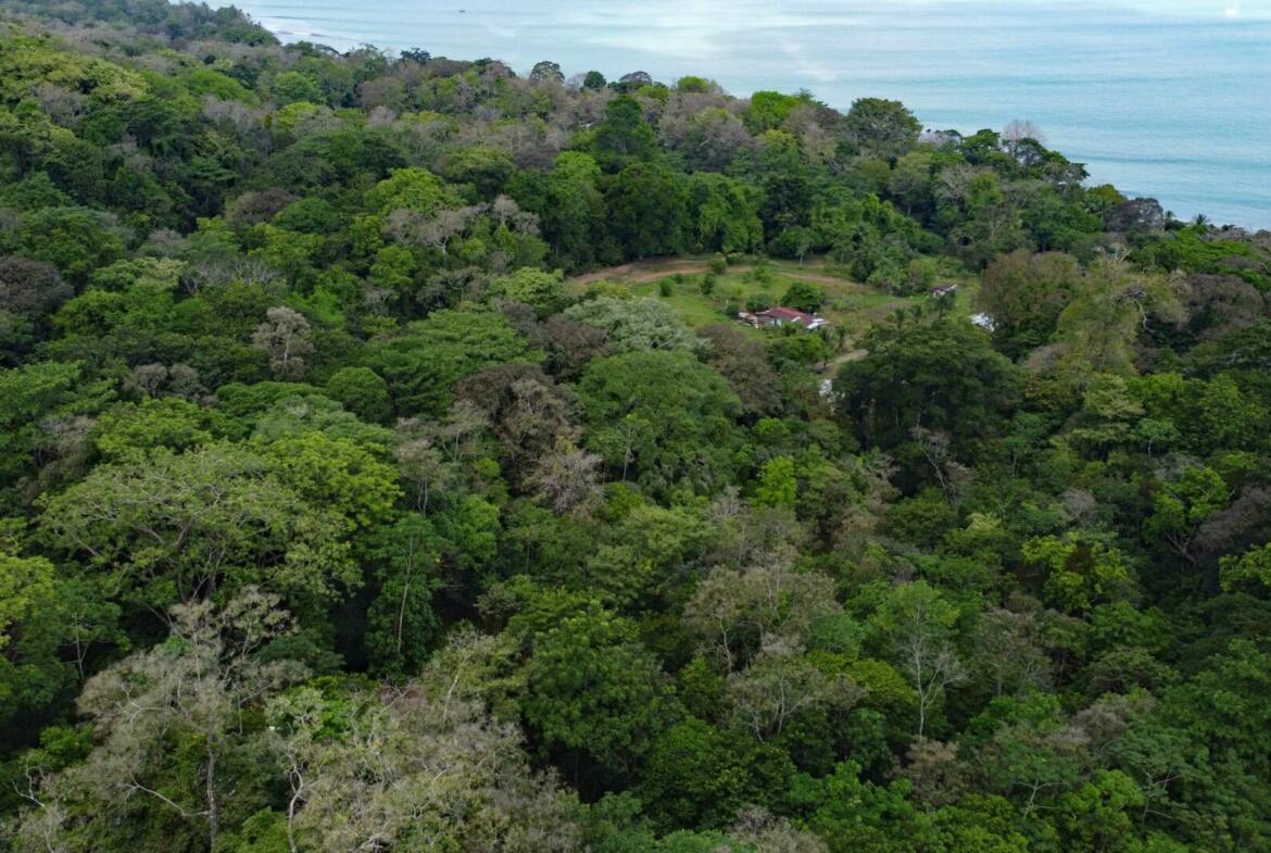 paraiso-mangle-1.24-acres-with-house-walk-to-beach