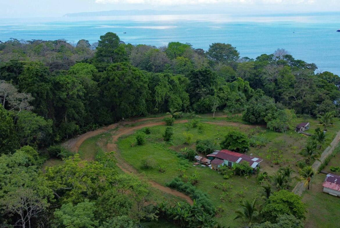 paraiso-mangle-1.24-acres-with-house-walk-to-beach