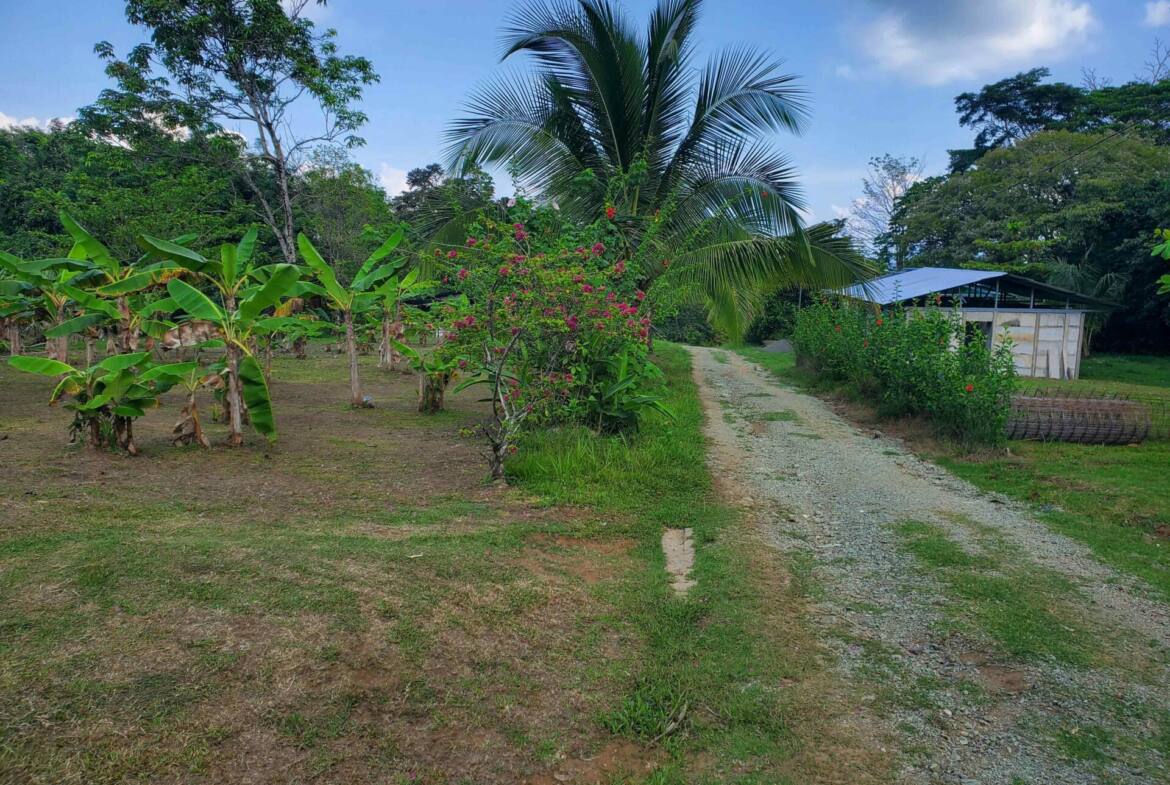 paraiso-mangle-1.24-acres-with-house-walk-to-beach