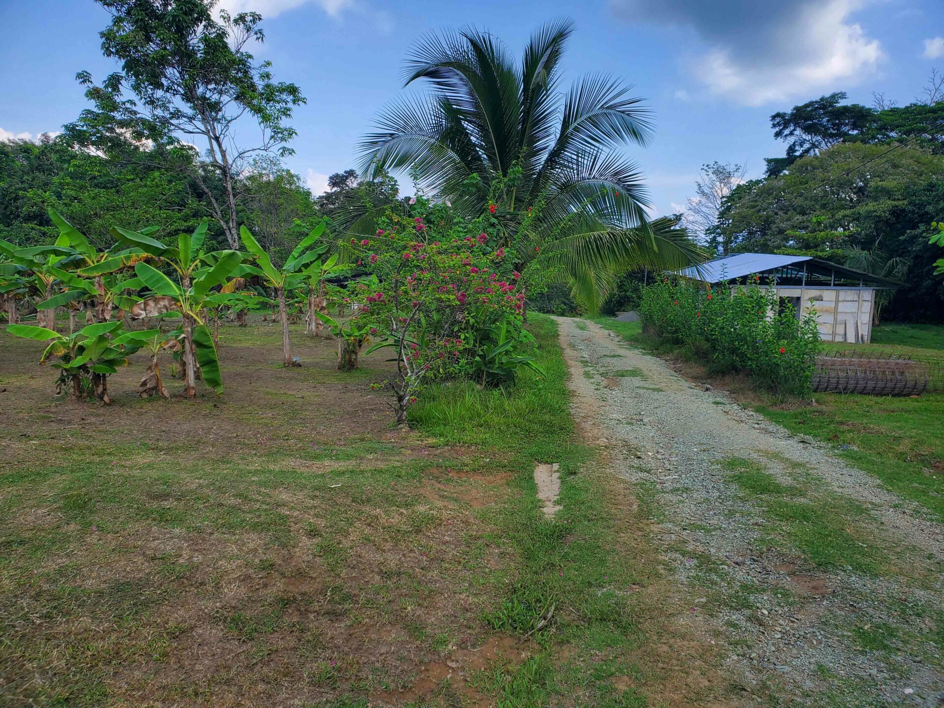 paraiso-mangle-1.24-acres-with-house-walk-to-beach