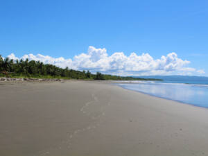 playa-zancudo-2-beach-lots-1-river-lot