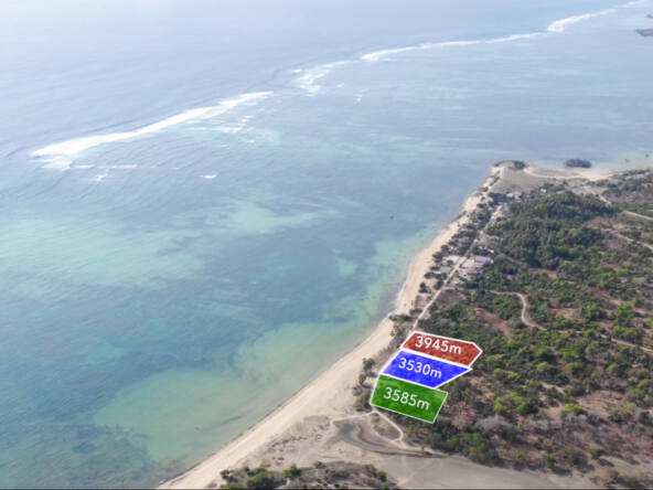 sucky-mamas-beach-lots-rote-island