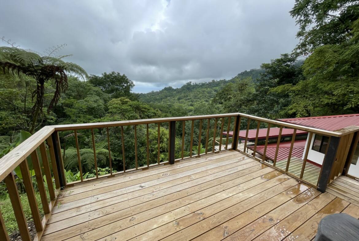 sunset-oceanview-home-&-guest-cabin-surrounded-by-rainforest