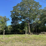 Playa-Zancudo-Arena-Alta-Lot-1526-M2