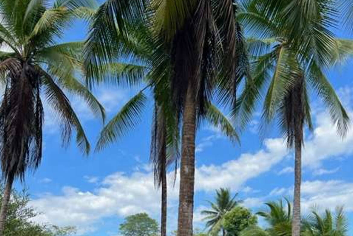 costa-rica-beachfront-fixer-on-playa-zancudo