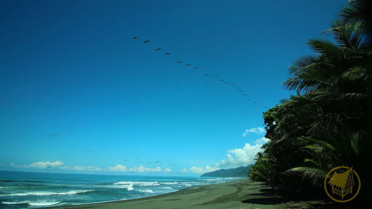 oceanfront-jungle-eco-lodge-costa-rica
