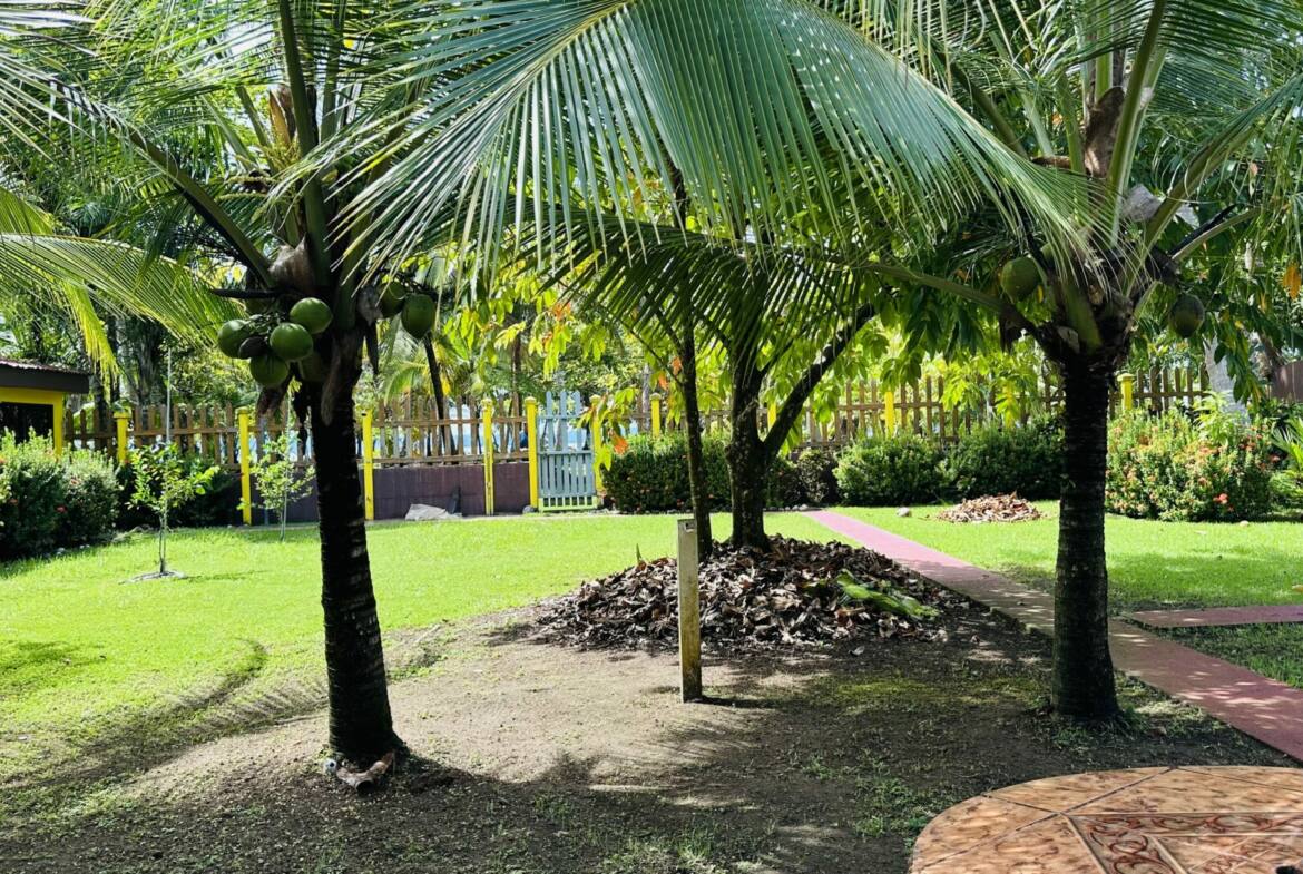 Casa_Zancudo_trees