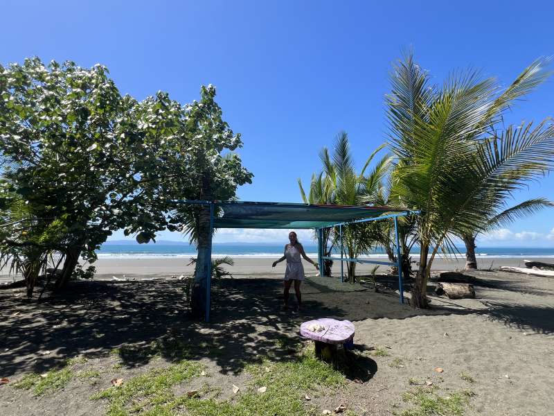 house-with-three-income-producing-cabinas-on-the-beach