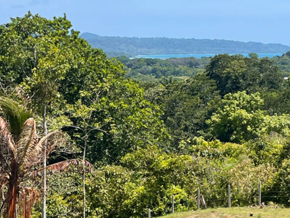 ocean-view-lot-for-sale-la-virgen-2,058M2