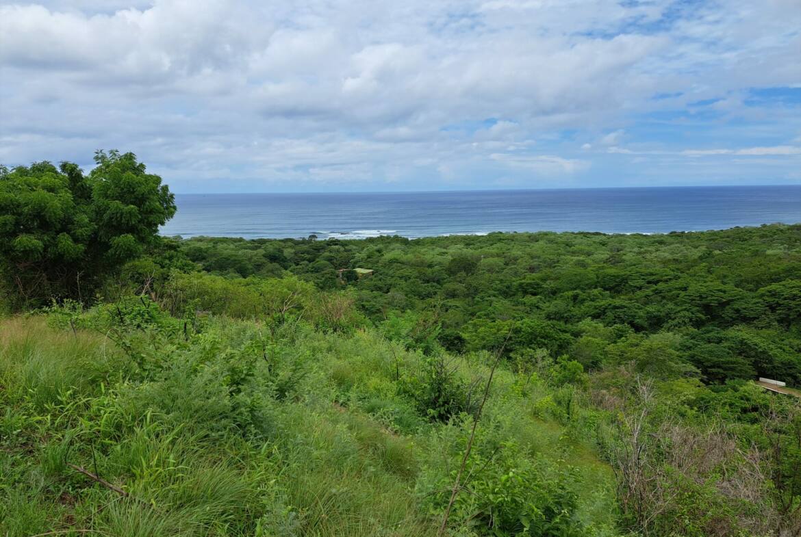 oceanview-lots-at-mango-time-beach-resort