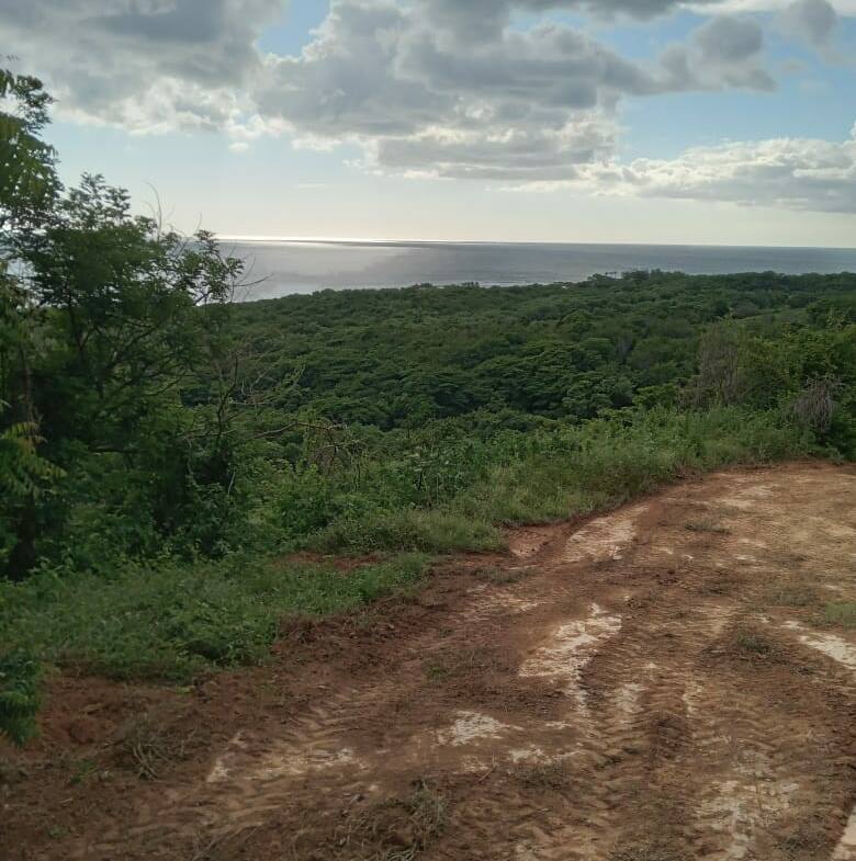 oceanview-lots-at-mango-time-beach-resort