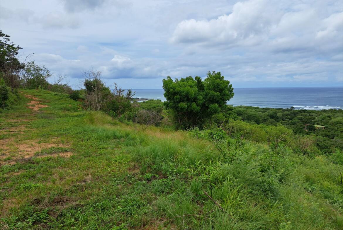 oceanview-lots-at-mango-time-beach-resort